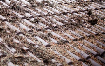 Minchington roof cleaning companies